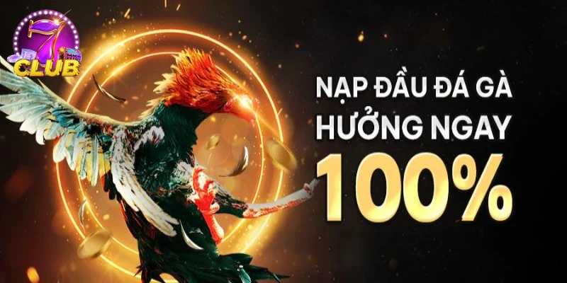 Ảnh người chơi nhận ưu đãi KHUYẾN MÃI ĐÁ GÀ tại SAO789.