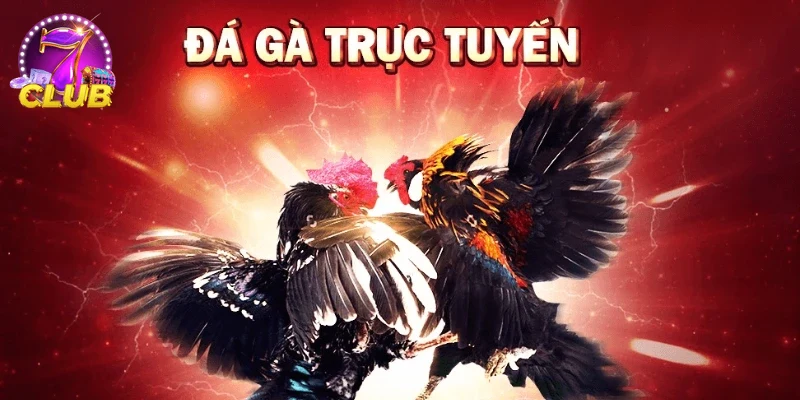 Giao diện ứng dụng khuyến mãi đá gà nổi bật trên điện thoại.