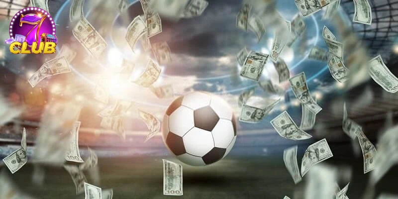 Trải nghiệm người dùng KÈO 1/4 với thiết kế sinh động.